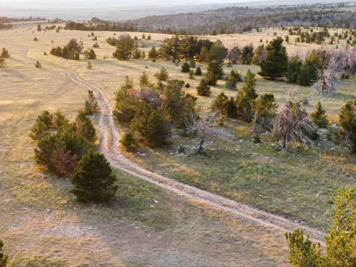 Sullivon Spring Road trail photo