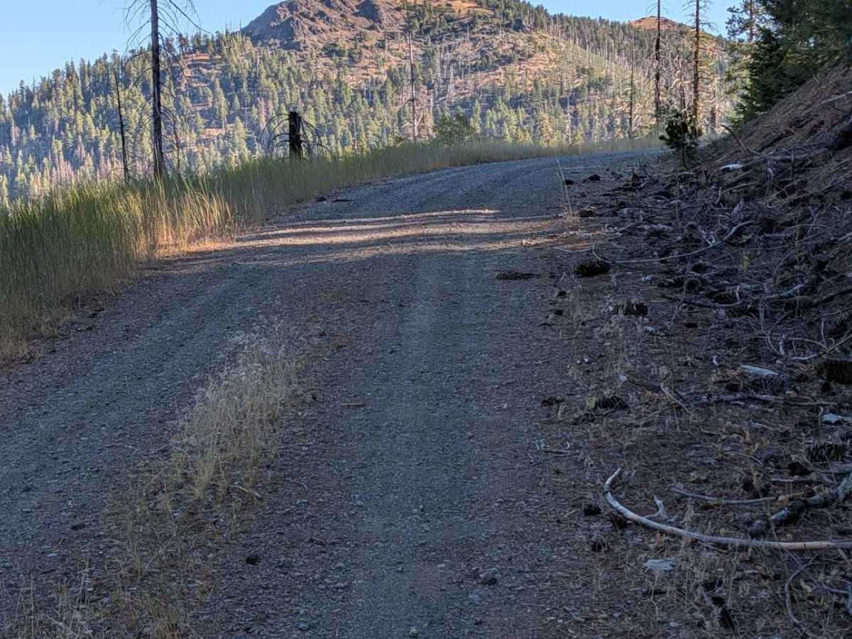  Midas Saddle Road - FS 30N16  photo 6