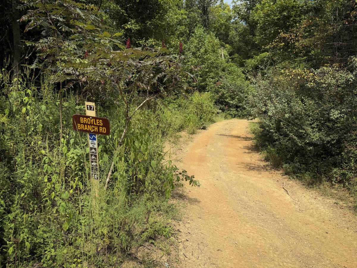 Broyles Branch Trail 17  trail photo
