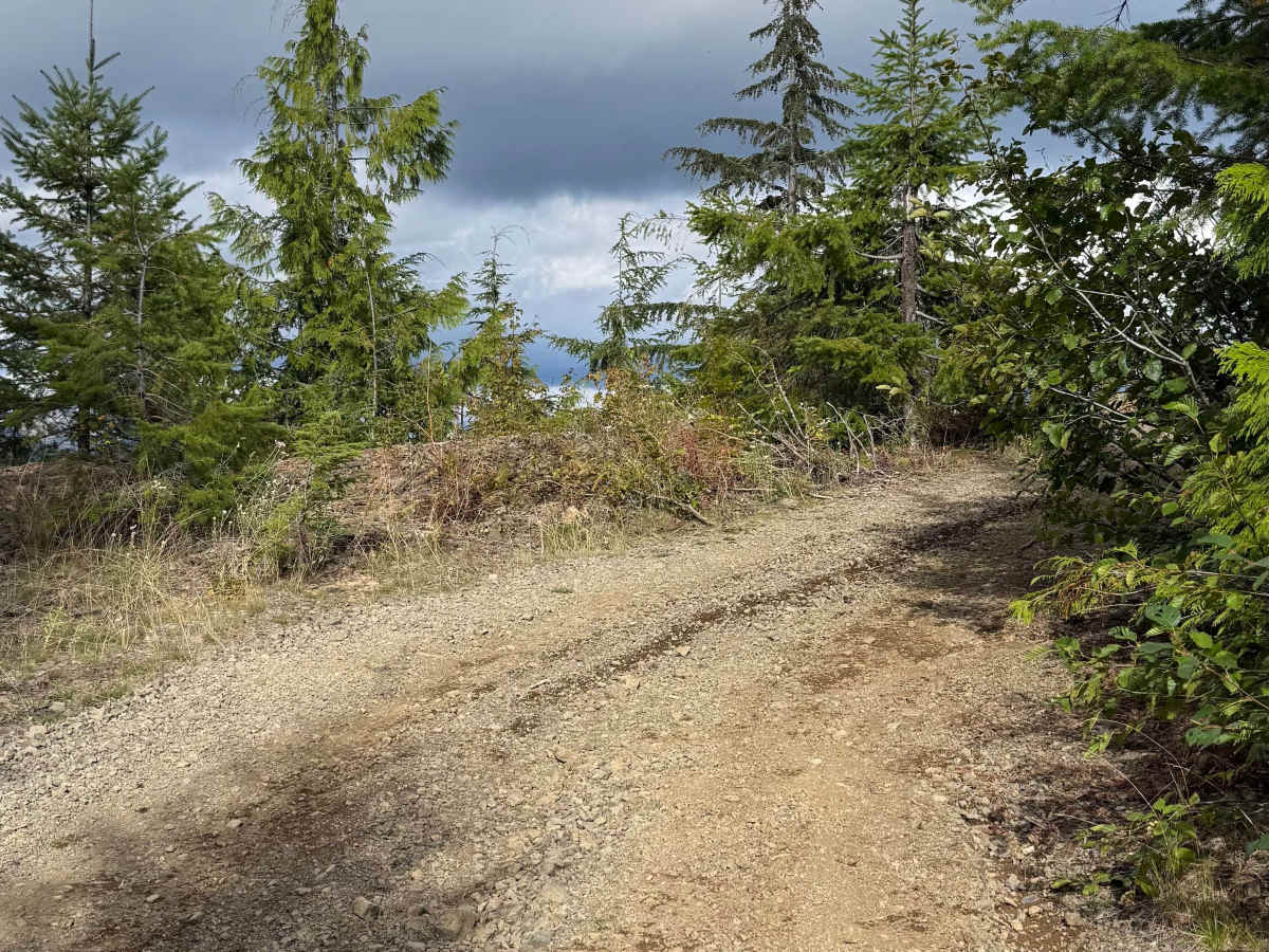 C 530 C trail photo