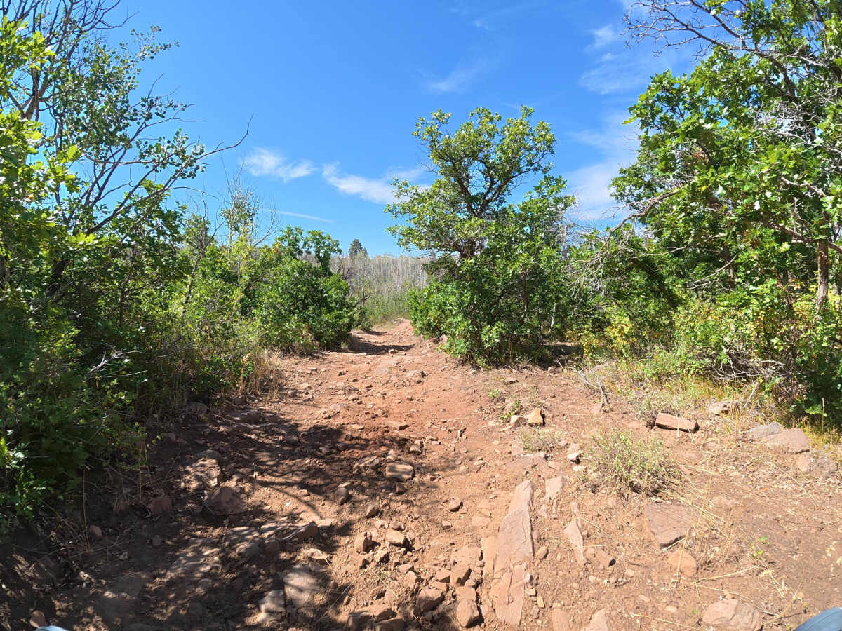 U C Creek Road photo 4