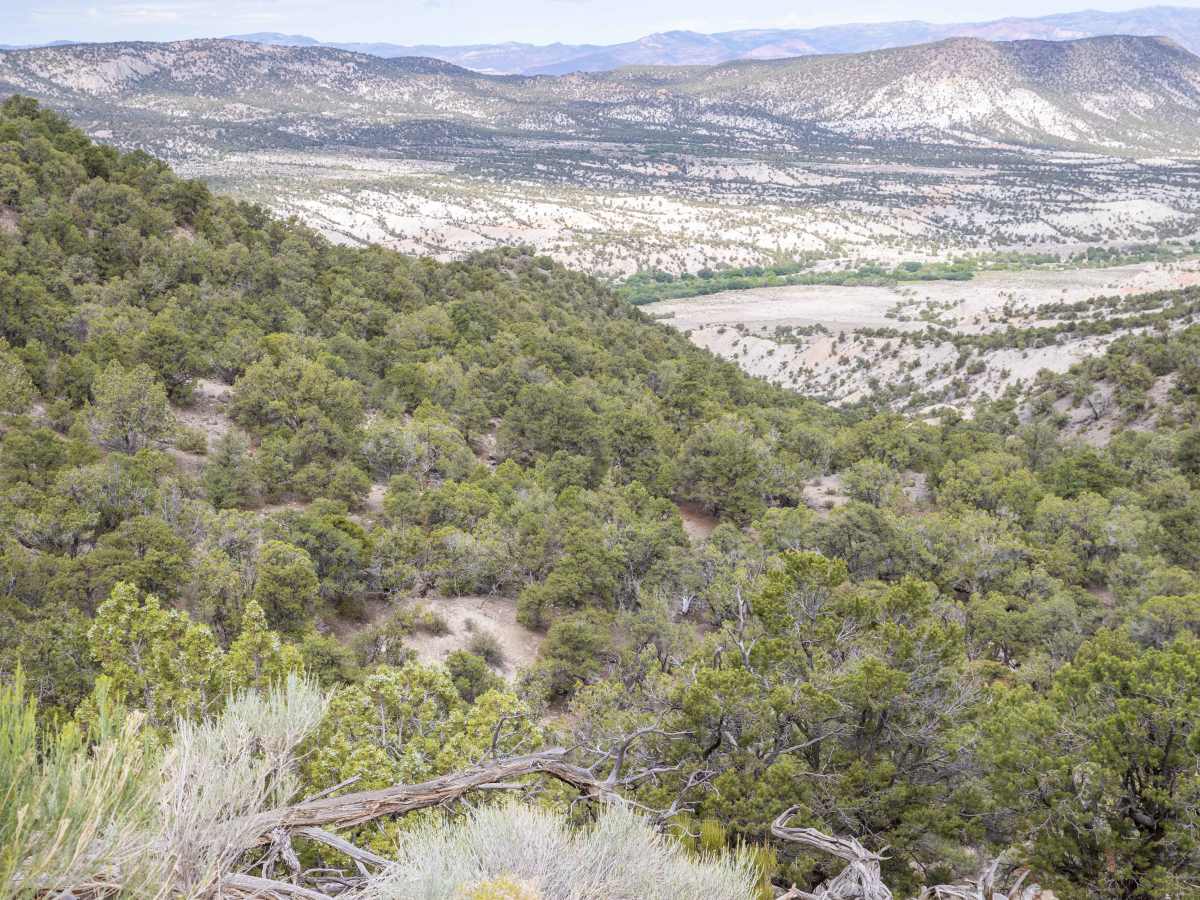 Teah Flat Road photo 3