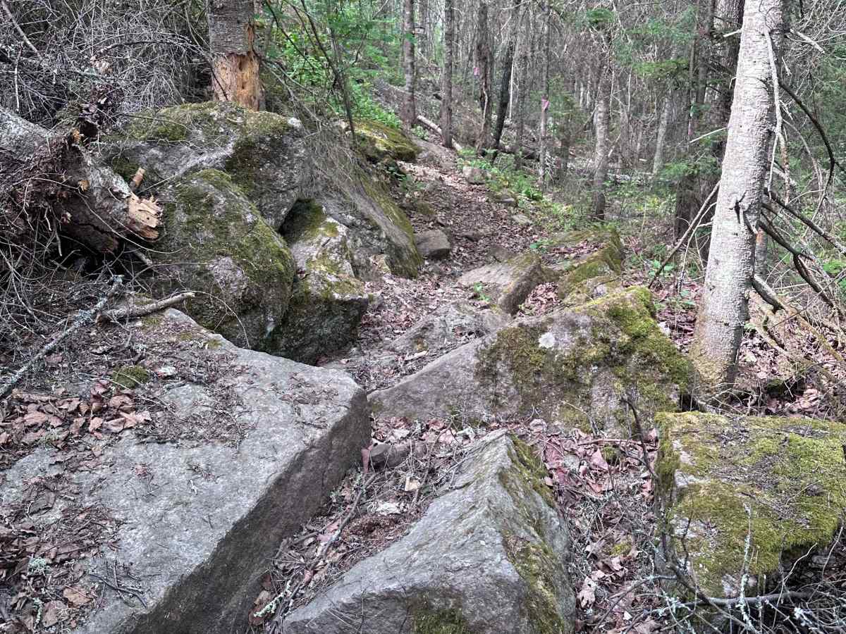 Valhalla Bound photo 4