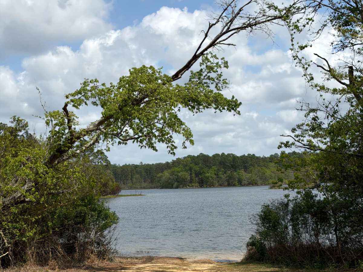 Hurricane Lake North R 171 photo 2