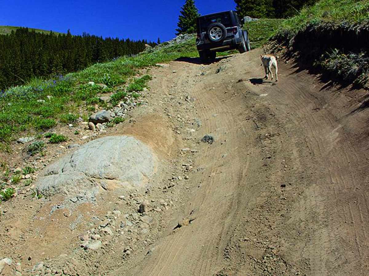 Chalk Mountain trail photo