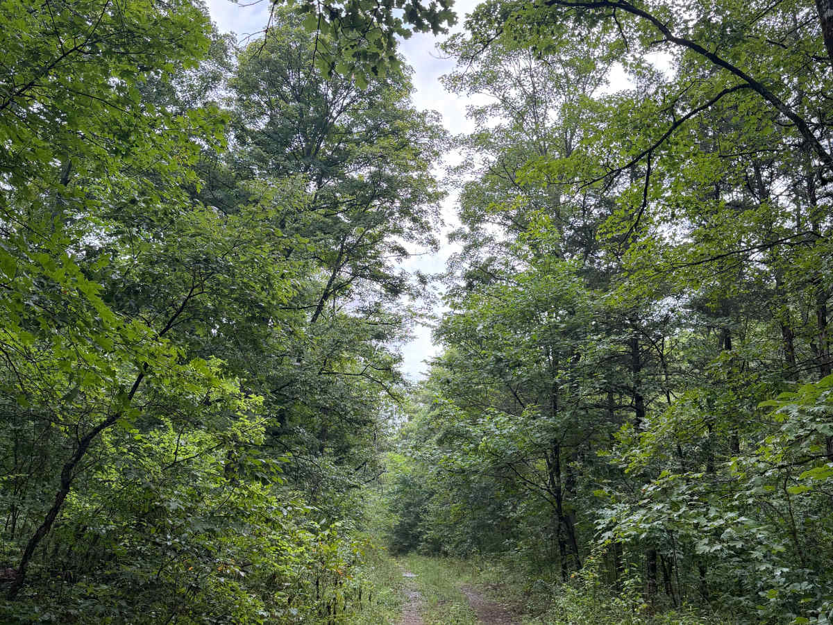 Creek Bed Drive - FS 93023 photo 6