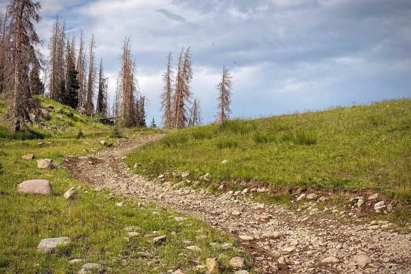 Kerr Lake Road #257