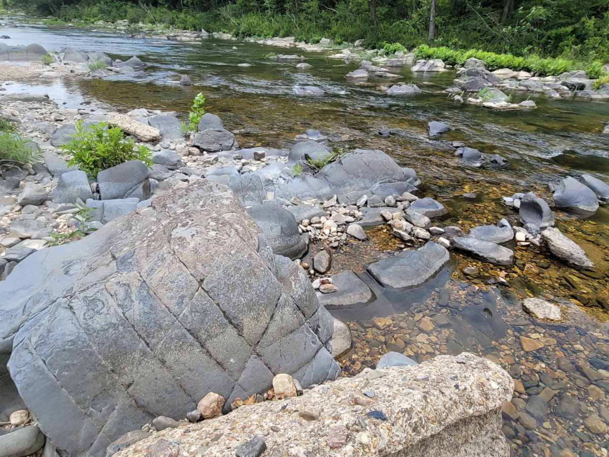 Cossatot River Campgrounds Route photo 6