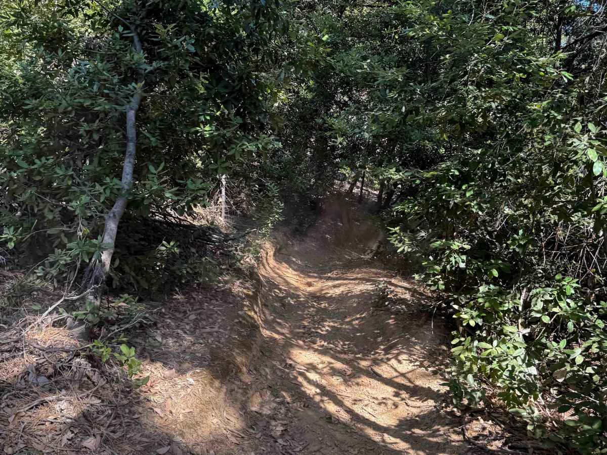 Trail 5-2 (11E29)  photo 5