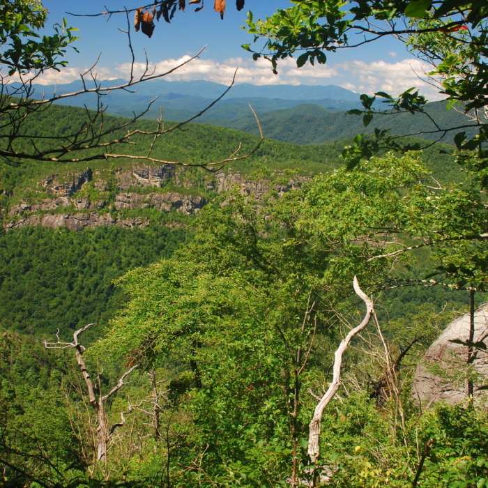 Enjoy views of Linville Gorge and the North Carolina High Country on the trail leading to the peak. Near Table Rock Summit Trail