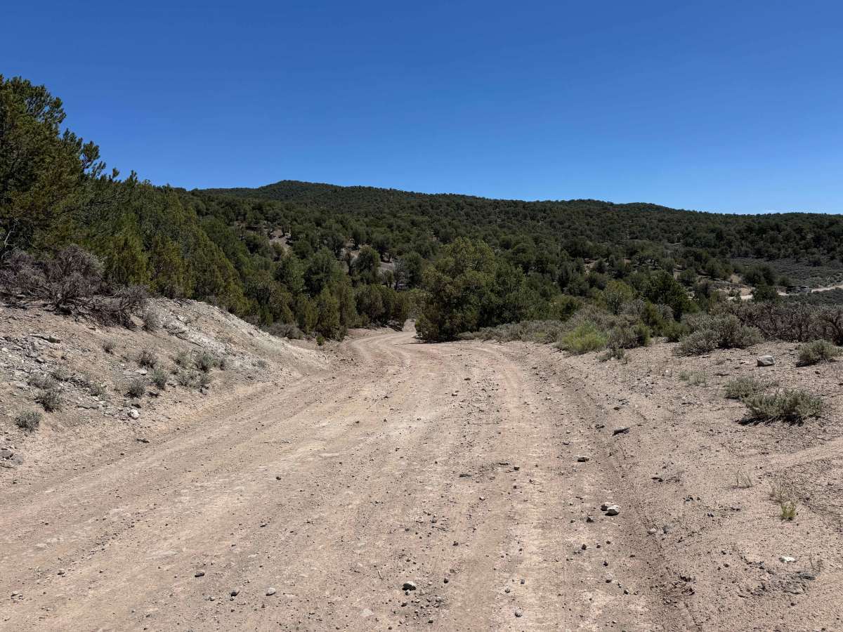 Trail Gulch Road 6 photo 4