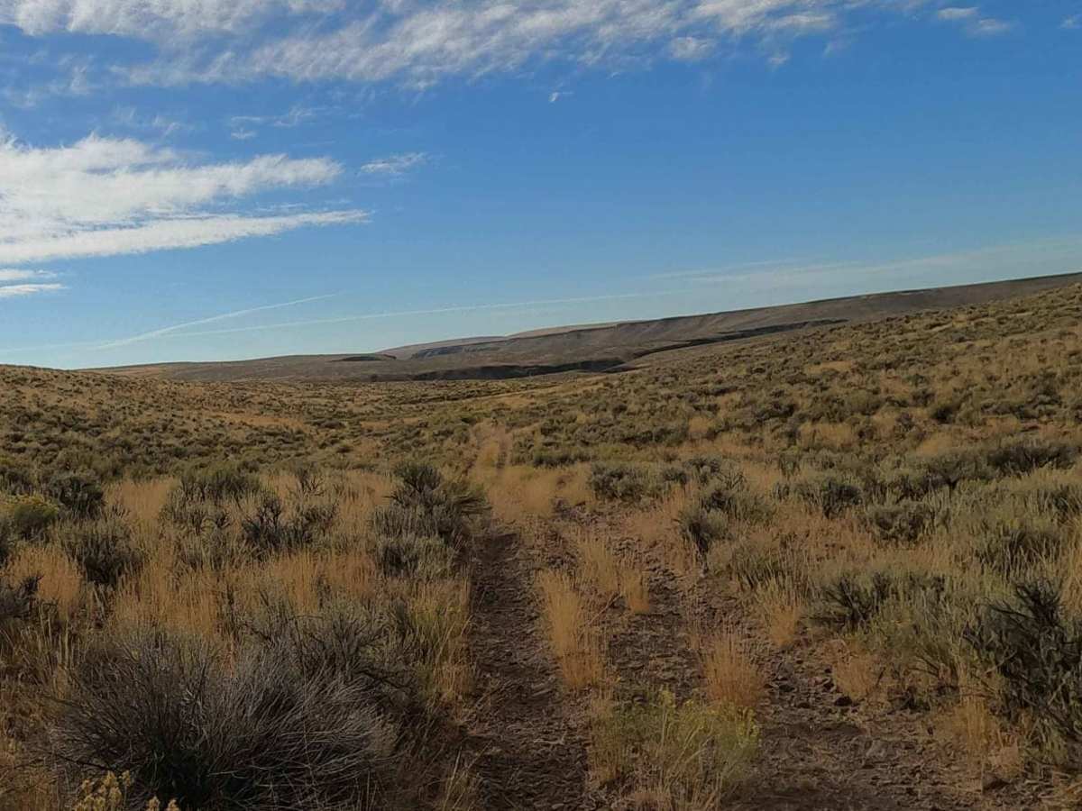 Crutcher's Crossing Cherrystem photo 3