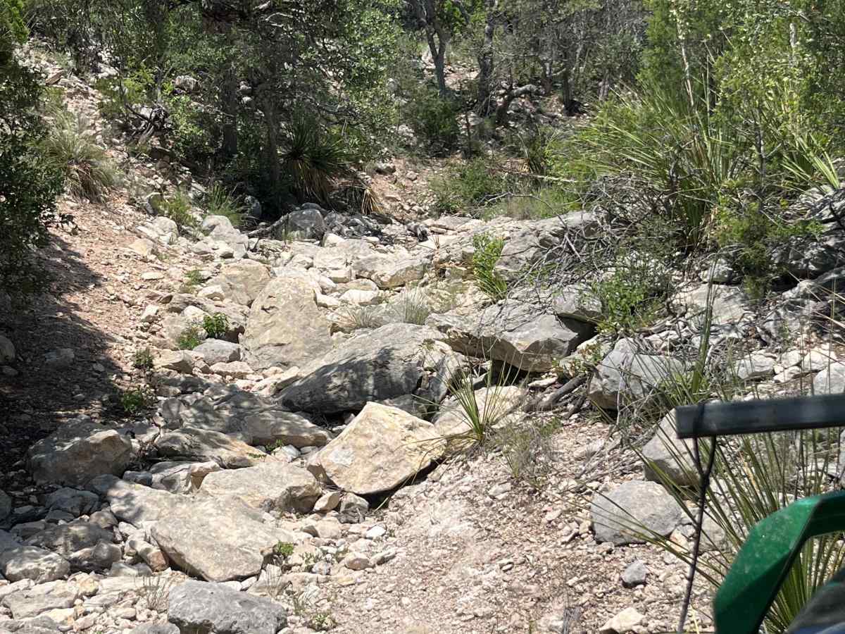 Artie's Revenge - V11 photo 3