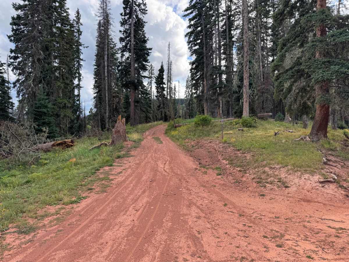 Divide Road trail photo