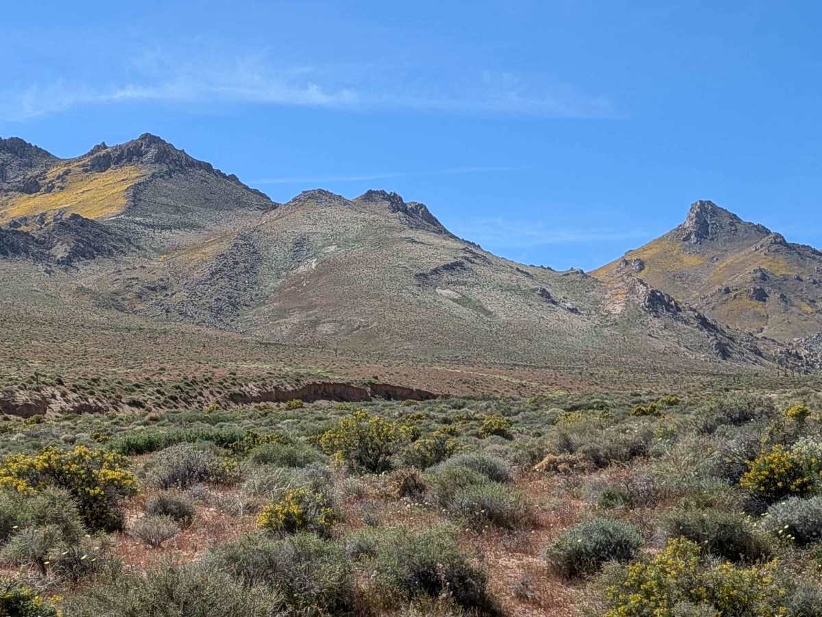 Short Canyon Road - BLM SE138 photo 6