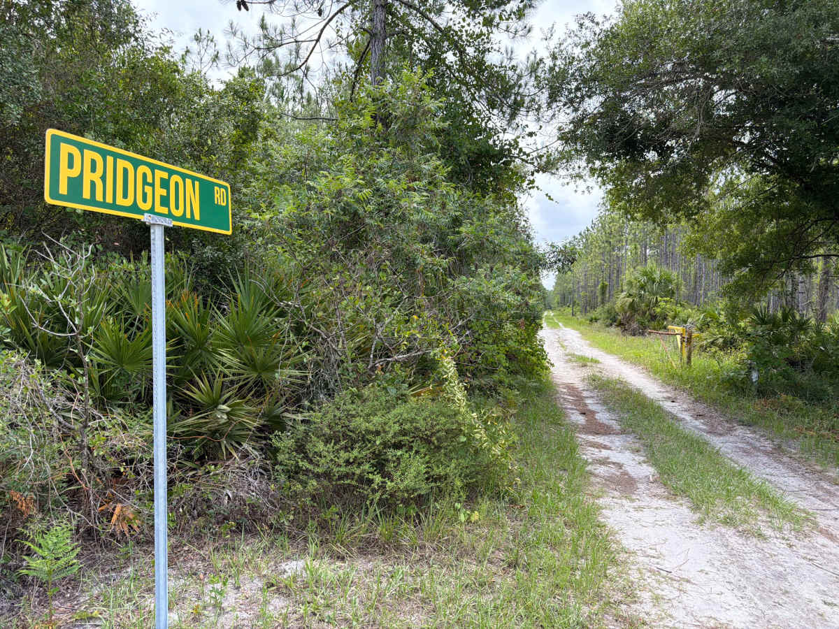Pridgeon Road trail photo