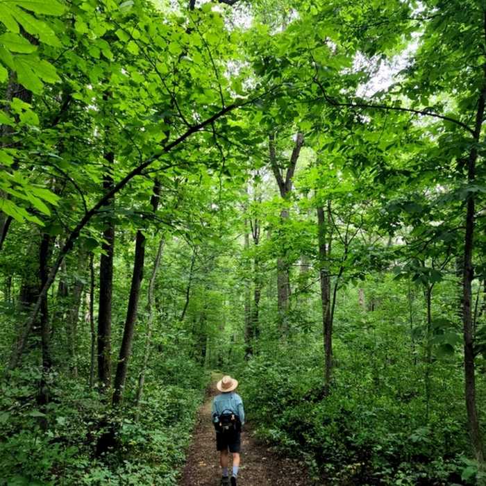 Near Hiking Club Trail (Wildwood Loop)