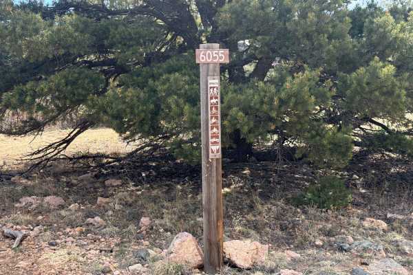 BLM 6021