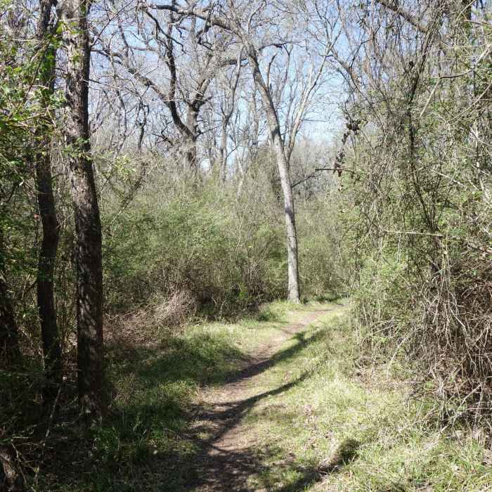 Near Wild Plum South