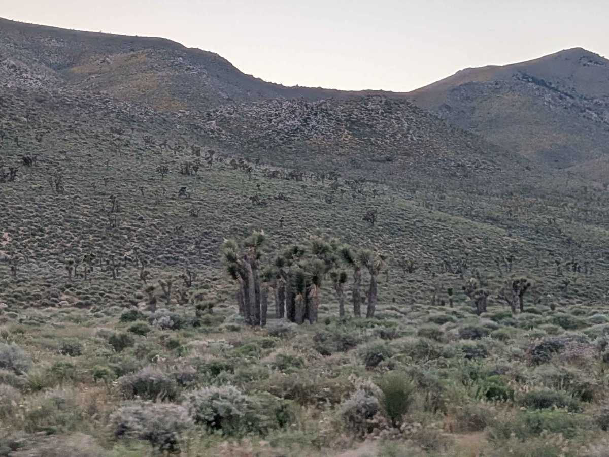 Cow Heaven Canyon Road BLM SC51 photo 2