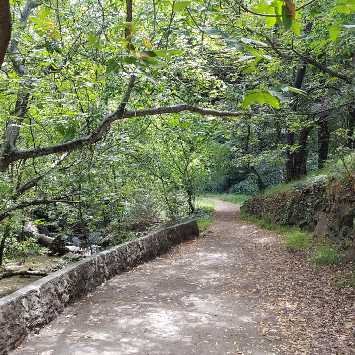 Near Alvarado Park Trail