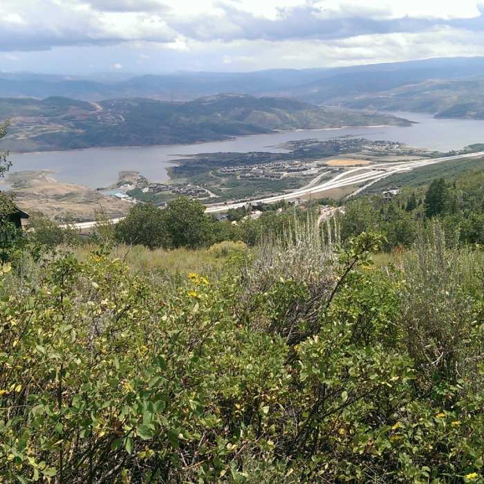 Near Outlook