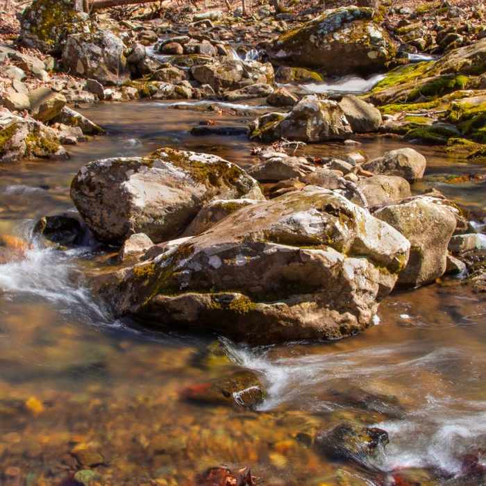 Near Overall Run Falls via Thompson Hollow Near Overall Run Falls via Thompson Hollow