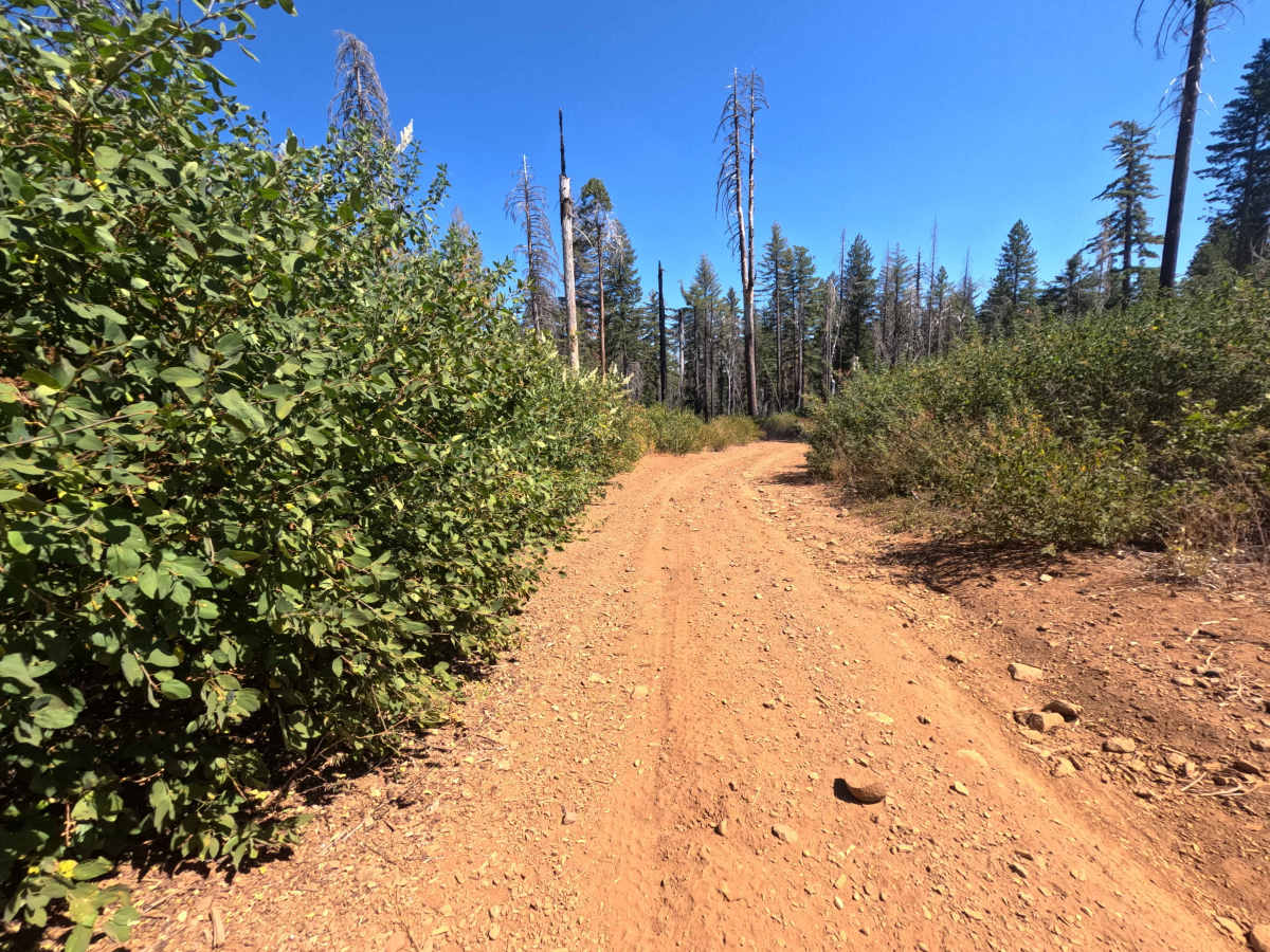 Upper French Creek - FS 21N56 photo 4