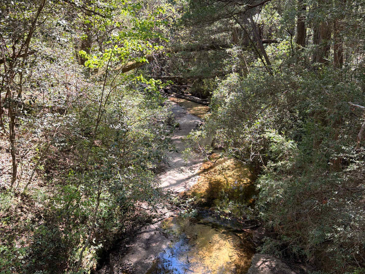 High Bridge photo 6