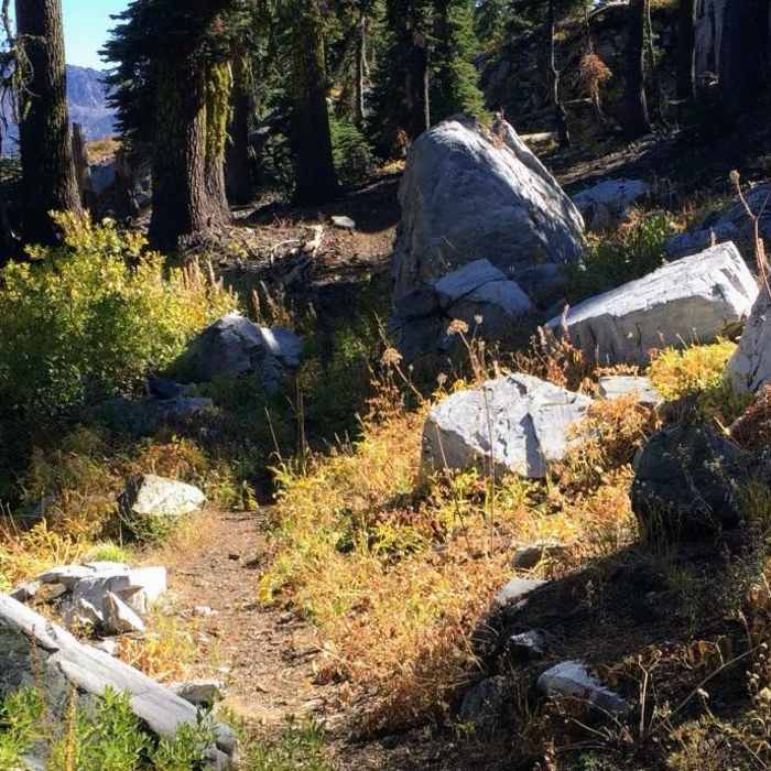 Near Paradise Trailhead to Cliff Lakes