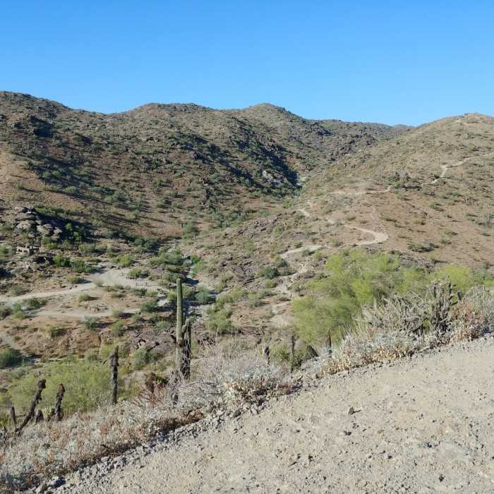 From the top of the trail you have beautiful views into the valley. Near Javelina Canyon Trail