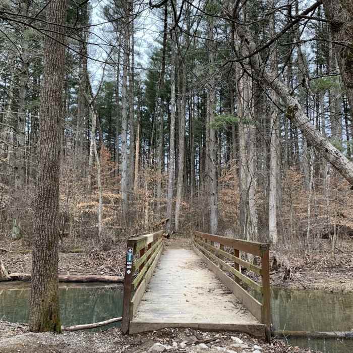 Early Springtime on Jackson Creek Trail in Yellowwood State Forest Near Jackson Creek Trail