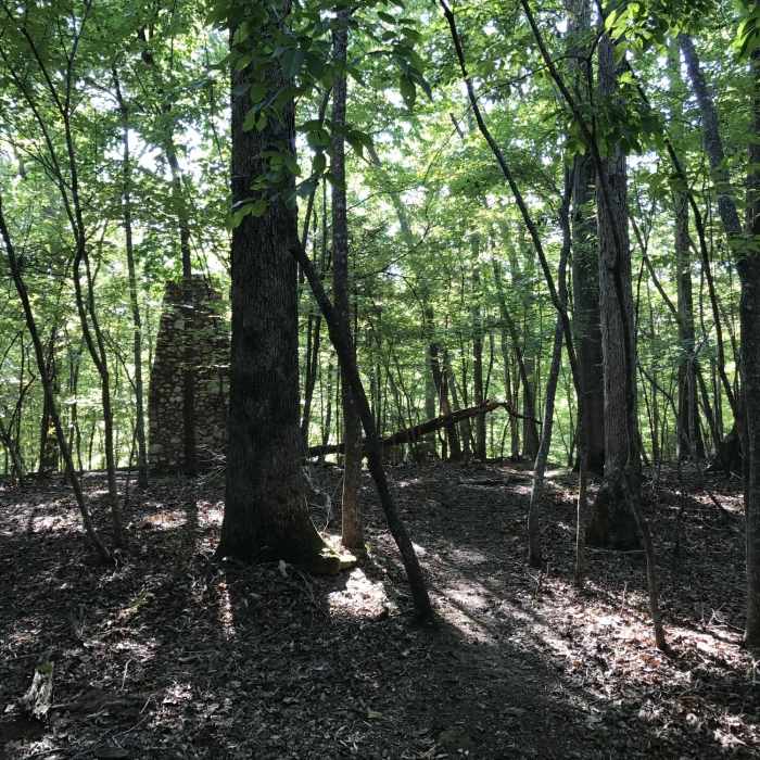 Near Laurel Bluff Trail (Central)