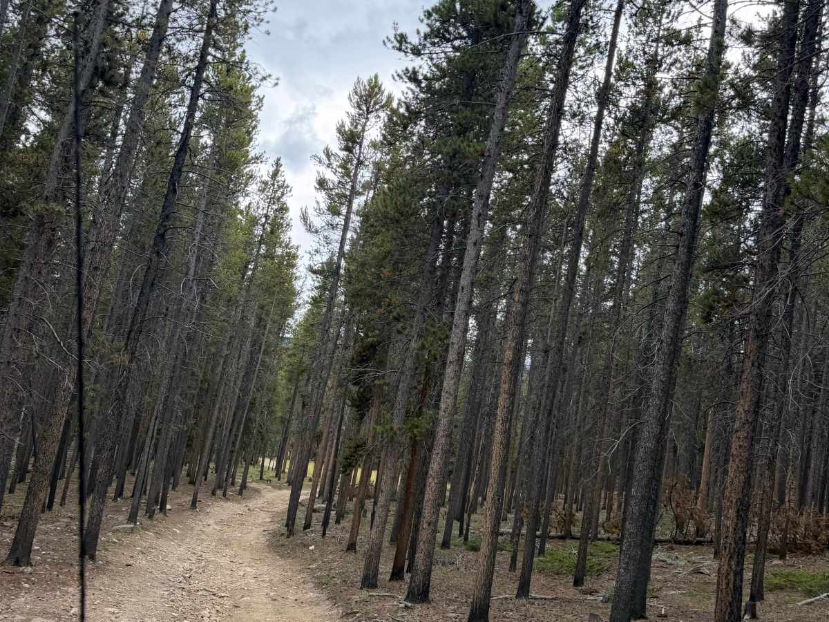 South Clear Creek Trail  photo 6