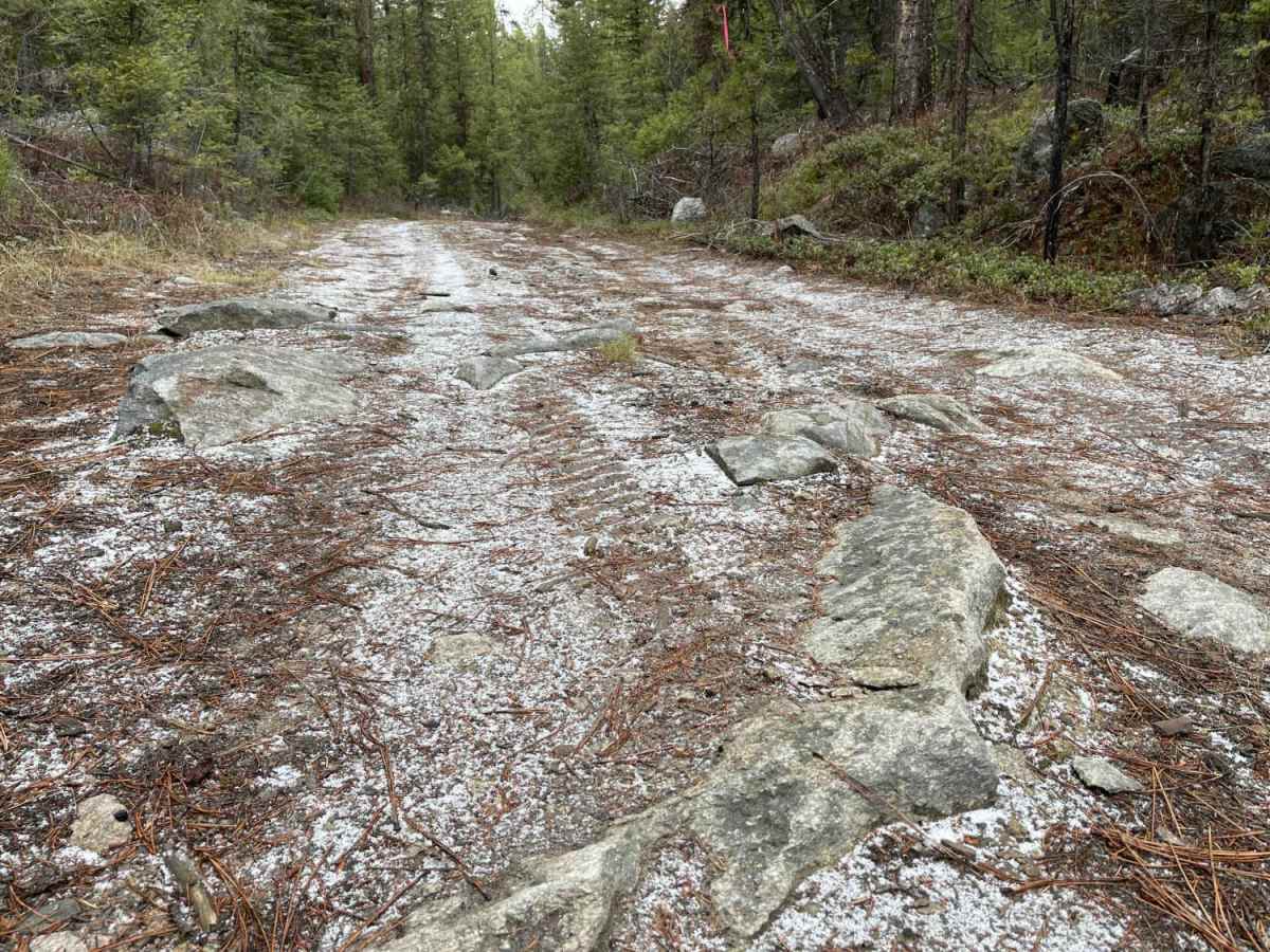 Trapper Trailhead Side Trail photo 5