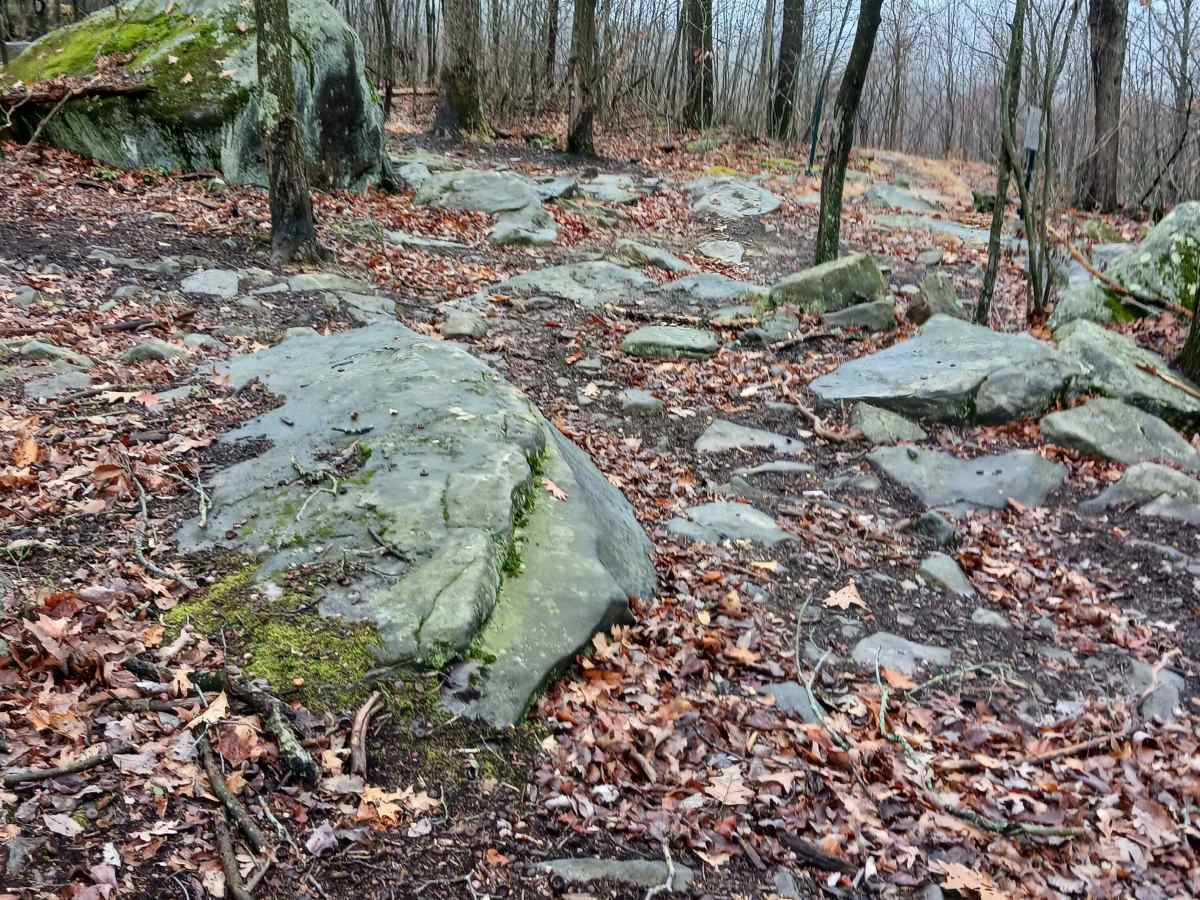 OHV 30 - Rock Run Recreation Area photo 3