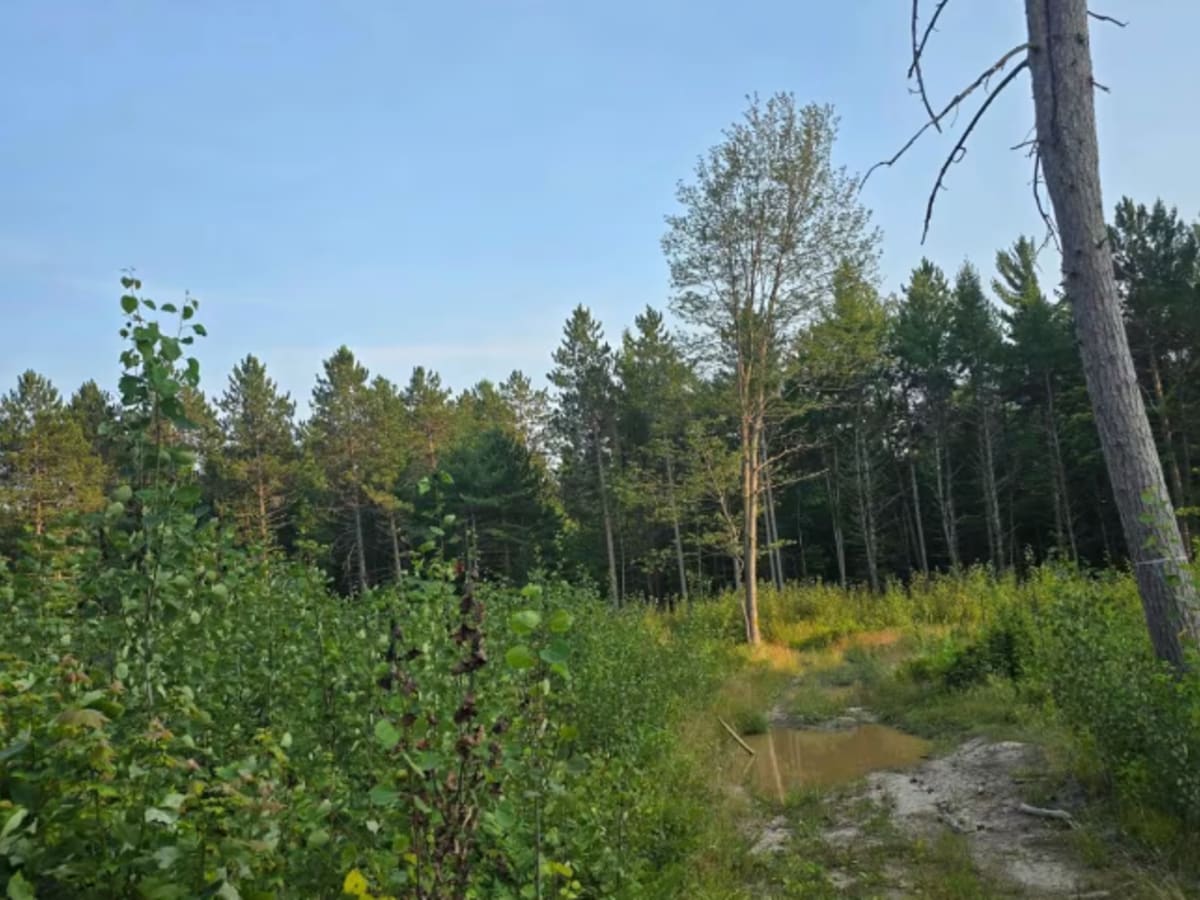 Camp Trail photo 3