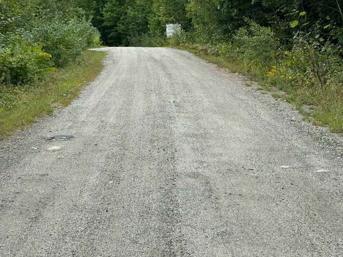 Branch Lake Forest Access Road photo 4