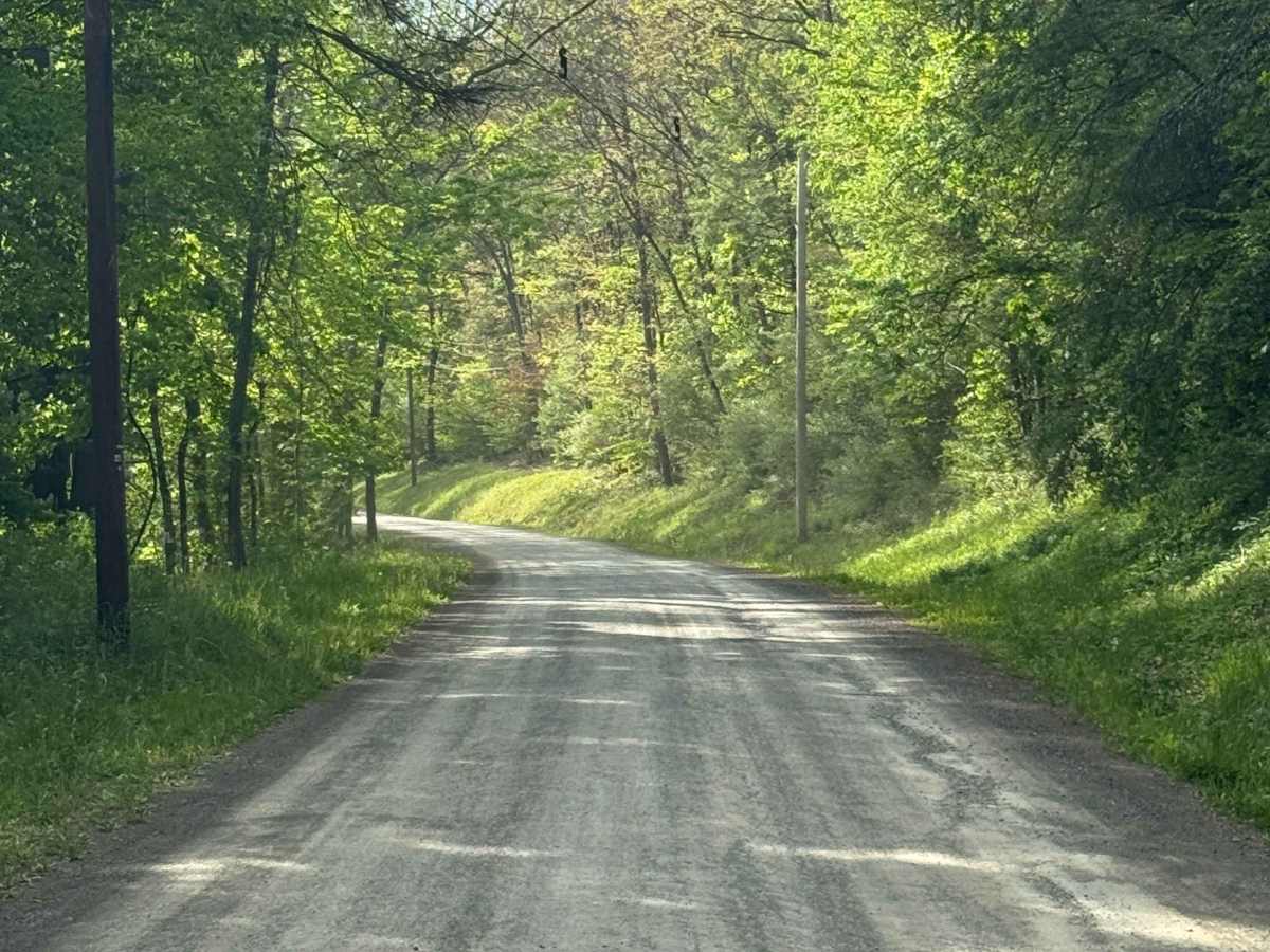 Greens Run Road photo 4