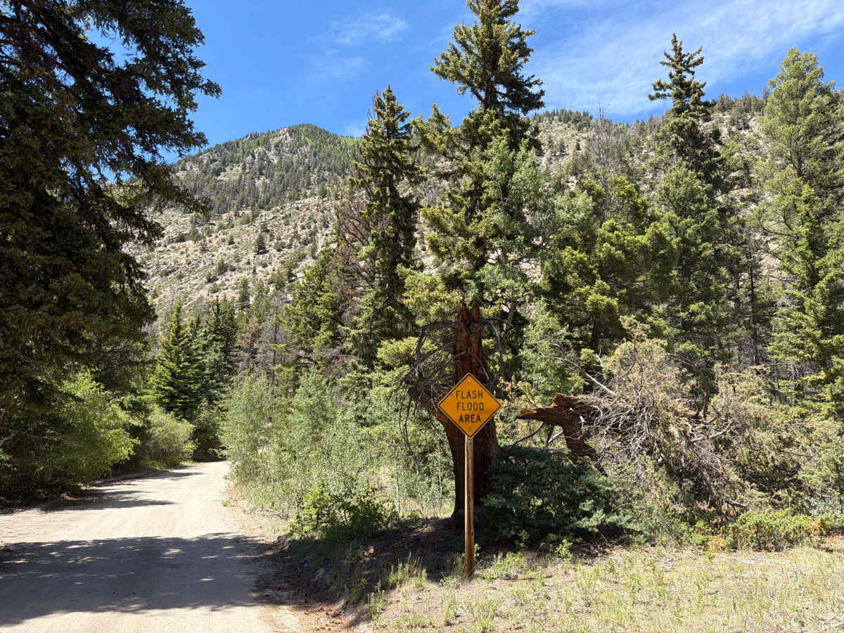 Old Chalk Creek Road photo 5