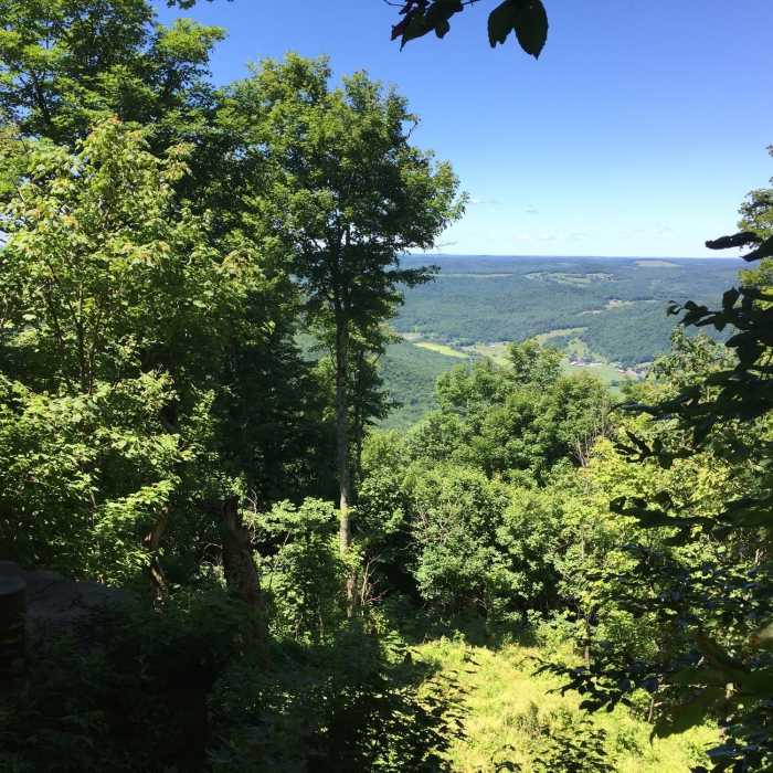 Near Bramley Mountain Loop