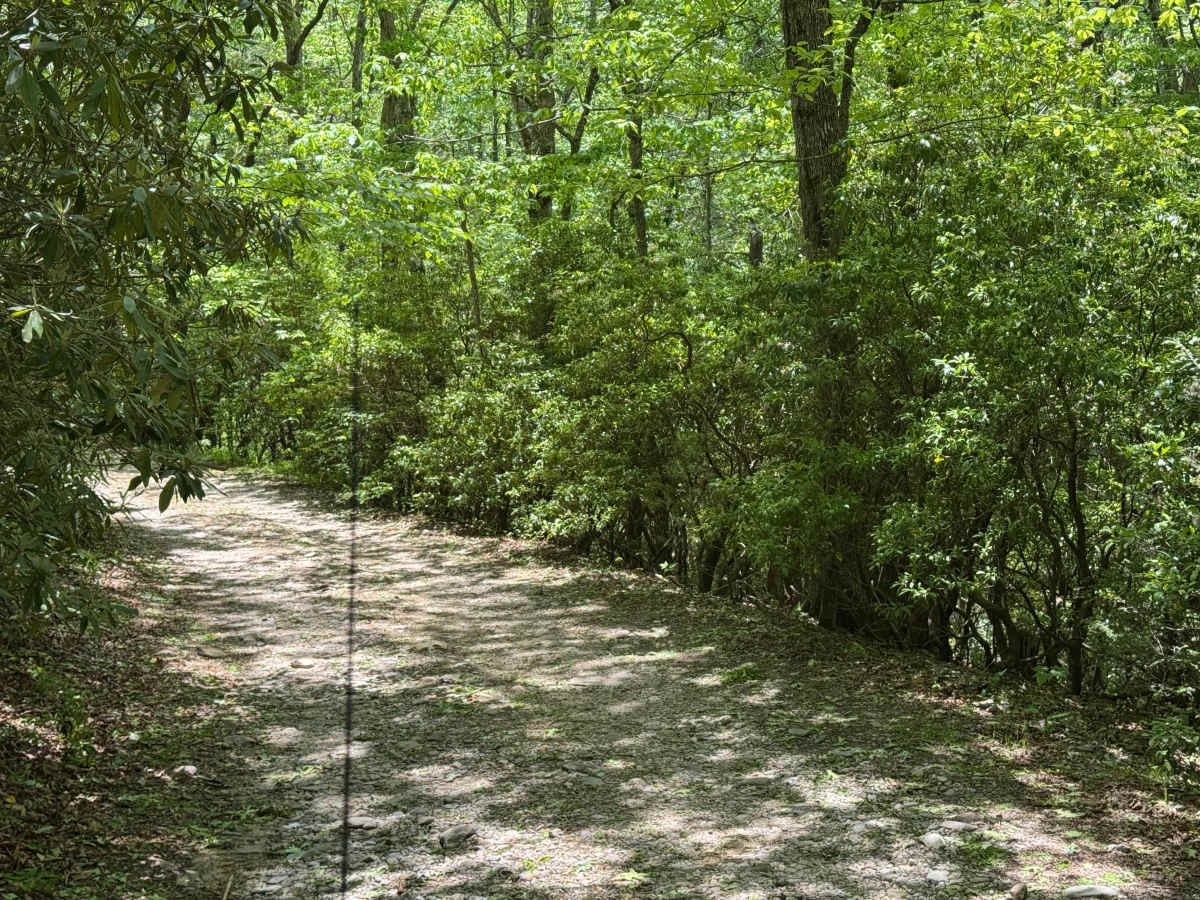 Rock Creek Lake - FS 69A photo 2