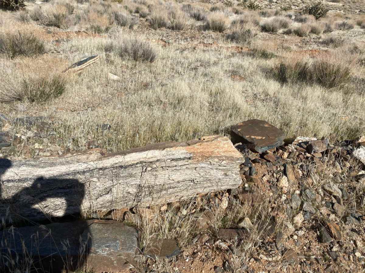Riverside to Tassi Ranch photo 2