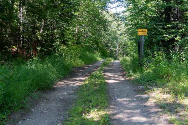 Robbs Creek Road