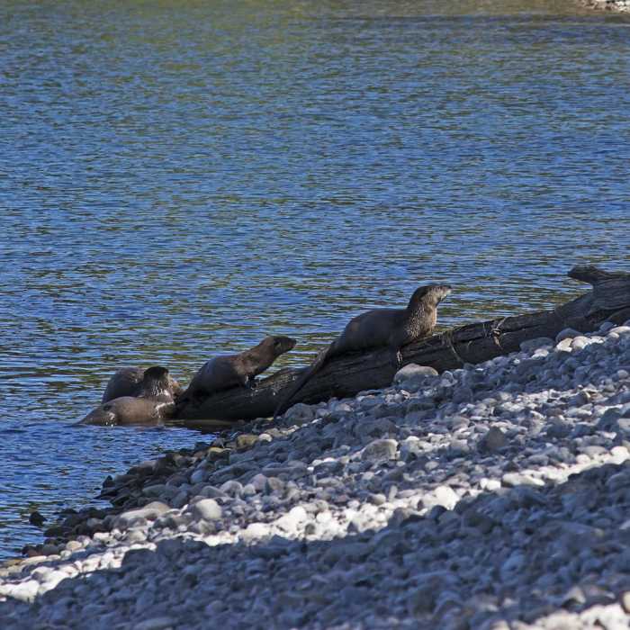 Near Heron Pond Hike