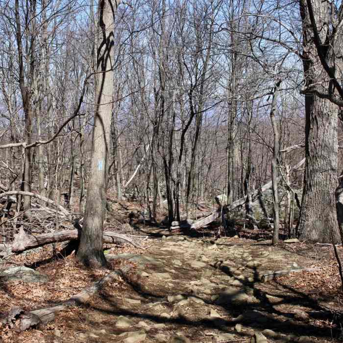 Near Hawksbill Summit Loop