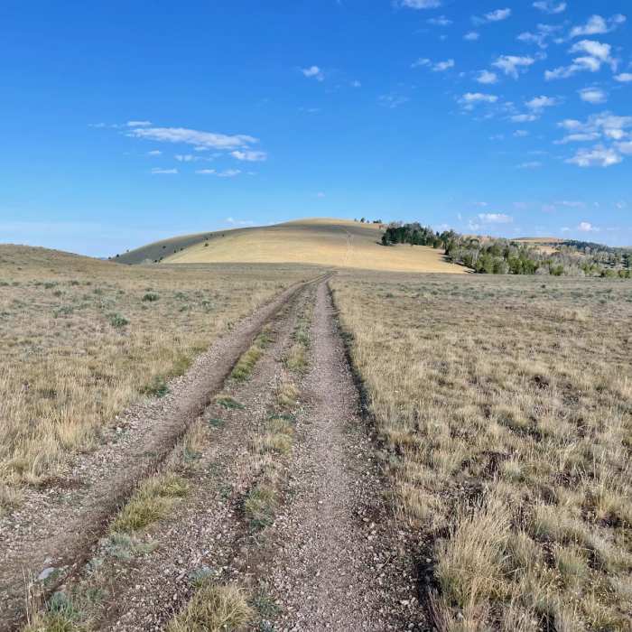 Near Continental Divide Trail: Montana-Idaho Section 7