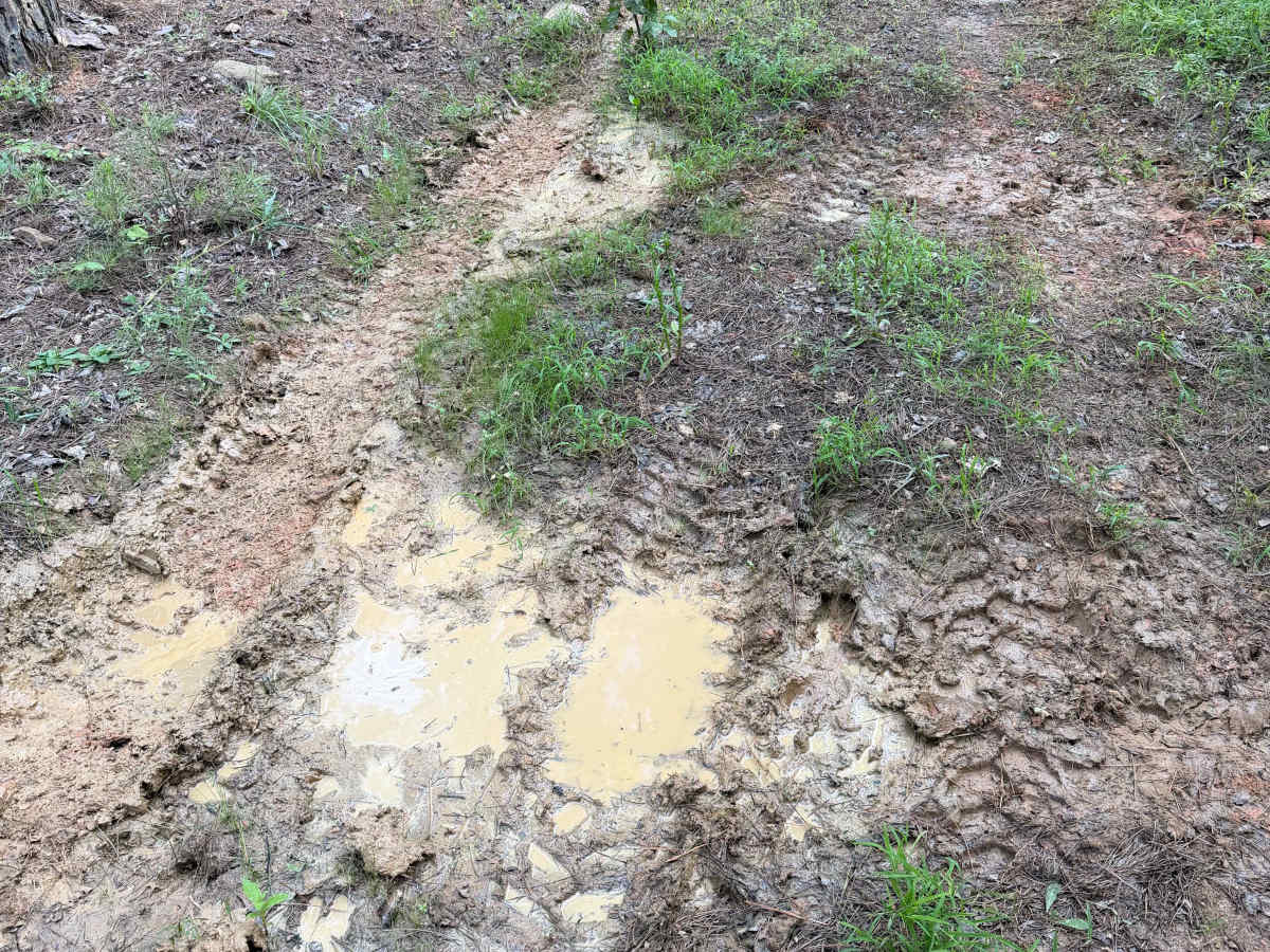 Mud Season photo 3