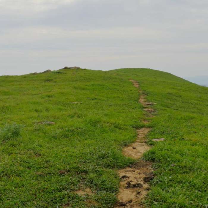 Near Suisun Hill Trail Hike