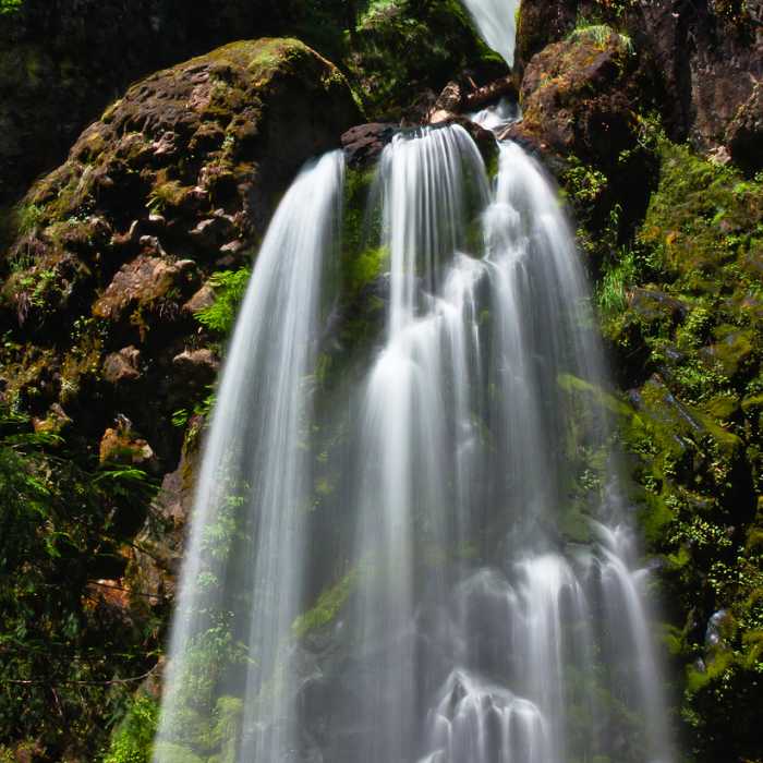 Near Fall Creek Falls Trail